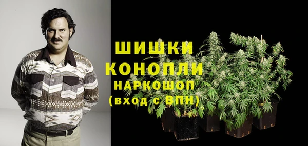 ECSTASY Михайлов