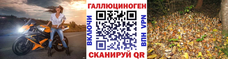 Псилоцибиновые грибы мухоморы Кириллов