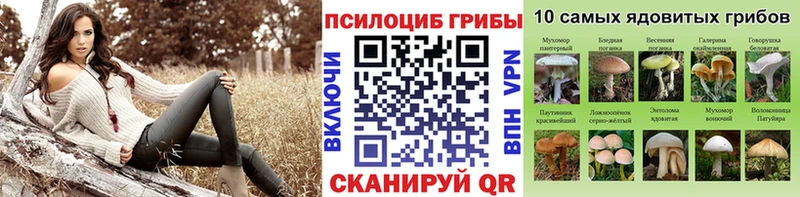 хочу наркоту  Кириллов  мега вход  Галлюциногенные грибы мухоморы 